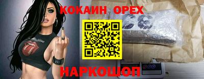 СК Моздок