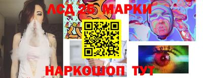 СК Моздок